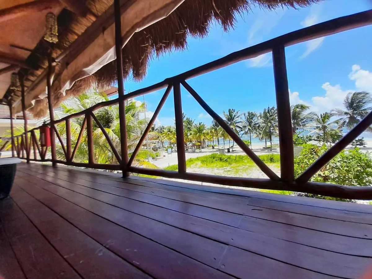 Alojamento de Turismo Selvagem Palmeras De Mahahual Cabanas