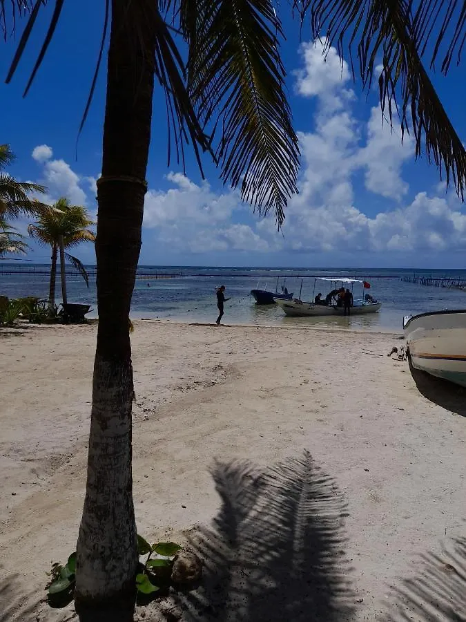 Palmeras De Mahahual Cabanas
